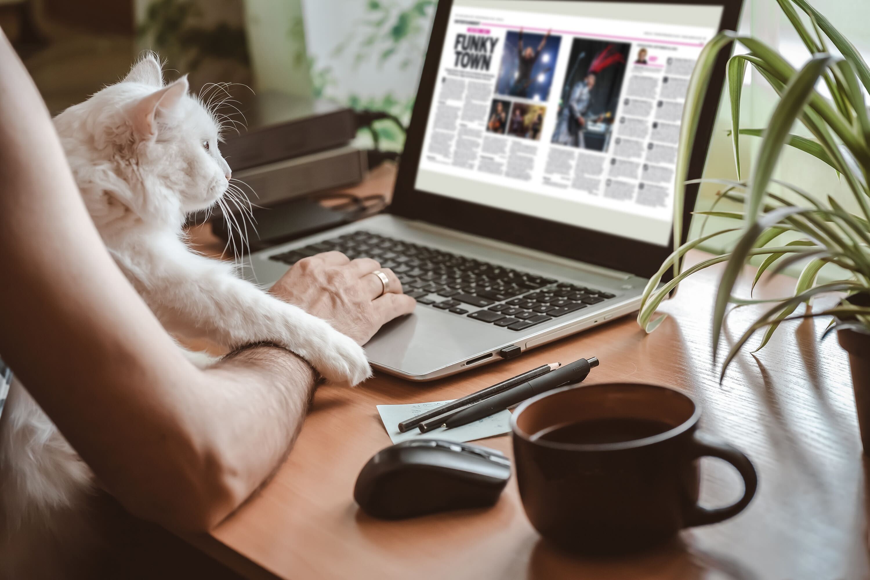 Woman with cat using laptop